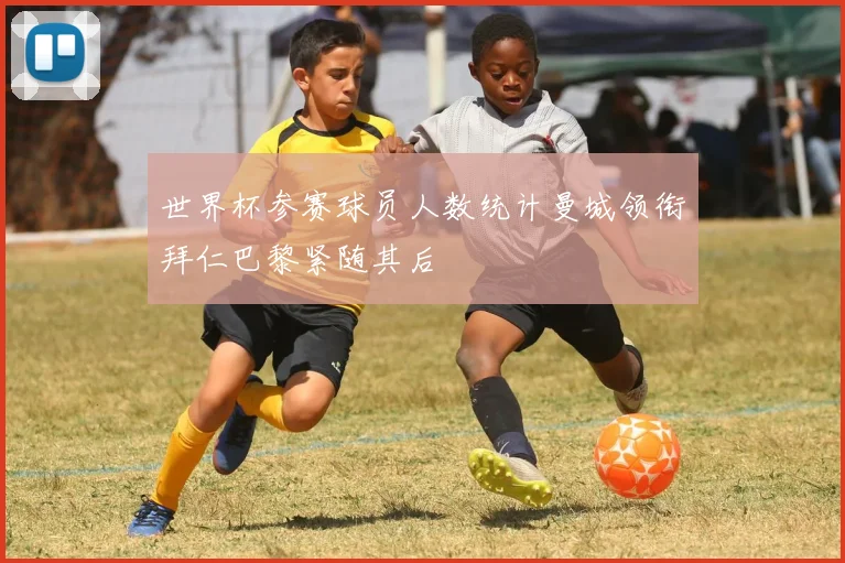 世界杯参赛球员人数统计曼城领衔拜仁巴黎紧随其后