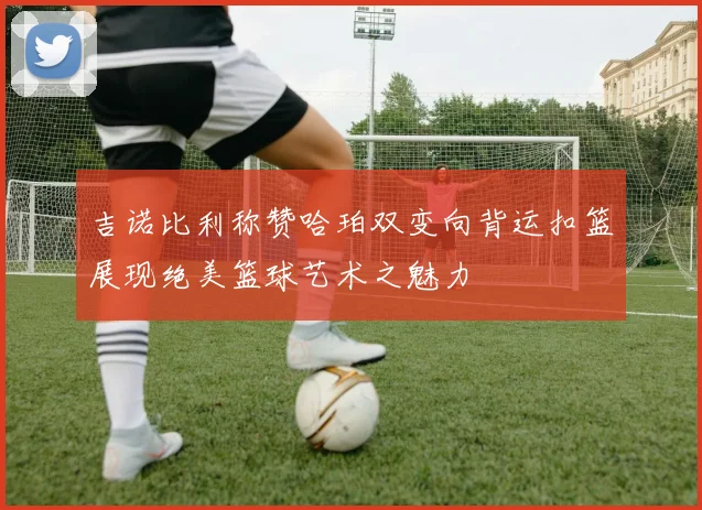 吉诺比利称赞哈珀双变向背运扣篮展现绝美篮球艺术之魅力