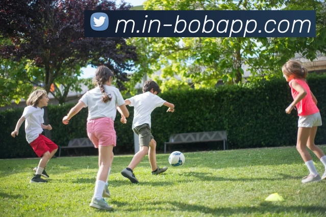 BOB体育APP 封面图